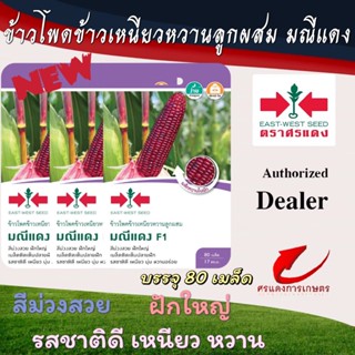 ผักซองศรแดงข้าวโพดข้าวเหนียวหวานมณีแดง n
