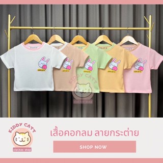 👕เสื้อยืดคอกลม เสื้อครอป ลายกระต่าย เสื้อผ้าเด็ก เสื้อเด็กโต ผู้ใหญ่ก็ใส่ได้ 👉มีให้เลือก 5 สี 👉ตัวละ 109 บาท ถูกมาก‼️