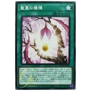 [BODE-JP065] Sunvine Sowing (Common)