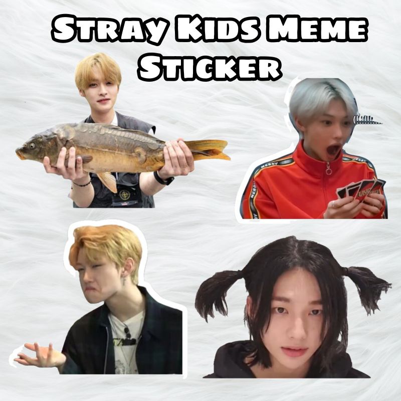 Stray Kids Funny Meme สติ๊กเกอร์
