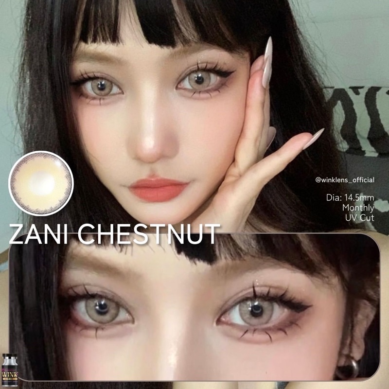 คอนแทคเลนส์รุ่นฮิตตลอดปี ZANI Chestnut