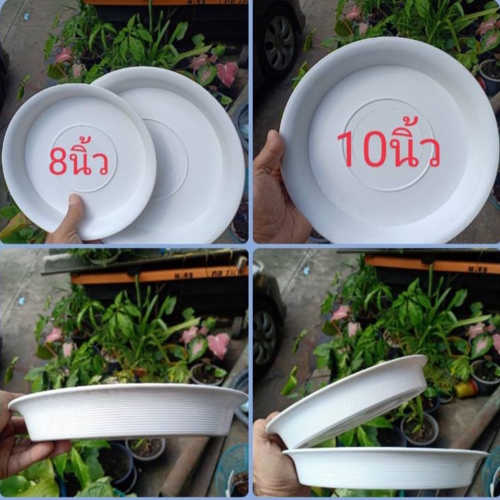 จานรองกระถาง 10 นิิ้ว , 8 นิ้ว สีขาว สีดำ