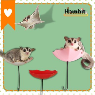 Hambit. ร่มชูการ์ไกรเดอร์ ร่มมินิตกแต่ง