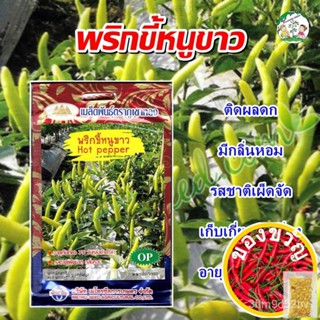 เมล็ดพันธุ์/เมล็ดพริกขี้หนูขาว Hot Pepper  เมล็ดพันธุ์พริกขี้หนู เมล็ดพริกขี้หนู เมล็ดพริก เมล็ดพันธุ์ผัก ตราภูเขาทองบุร