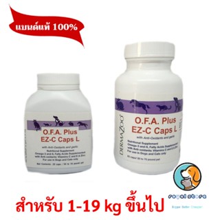 OFA Plus EZ-C Caps  L (สุนัข 19 กก. ขึ้นไป) บำรุงขนและผิวหนัง