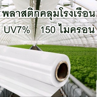 《ขายยกม้วน》พลาสติกคลุมโรงเรือน UV7% หนา 150 ไมครอน หน้ากว้าง 3.6m ยาว 36 เมตร ขายยกม้วน