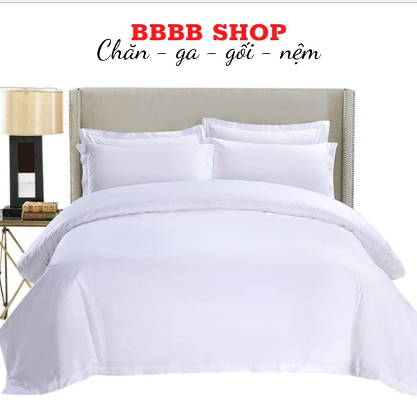 [PREMIUM SOFT COOL]RIOTEX Plain White Hotel T300 ปลอกผ้านวมผ้าฝ้าย - ขนาด 1m6x2m/ 1m8x2m/ 2mx2m2/2m2