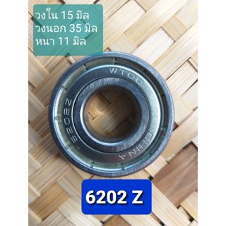 แบริ่ง ตลับลูกปืน bearing 6202 และ 6203