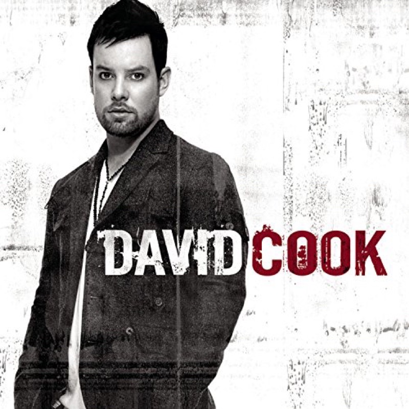 CD DAVID COOK (2008) 💥CDเพลงสากลไม่มีปก💥