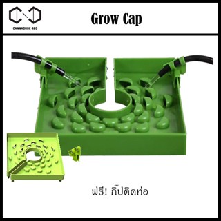 Grow cap ถาดรองดินรดน้ำ รดได้ซึมทั่วหน้าดินได้ทั้งดินและ Hydroponics Rockwools ขนาด 6 นิ้ว/8นิ้วGrow Garden Flora Flex