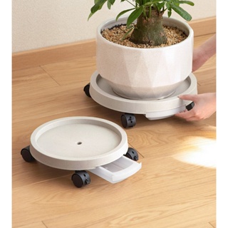 Omocha - Indoor plant tray ถาดรองต้นไม้ในบ้าน ถาดรองกระถาง มีล้อเลื่อน