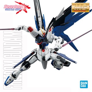 Bandai Master Grade FREEDOM GUNDAM Ver 2.0 (MG)