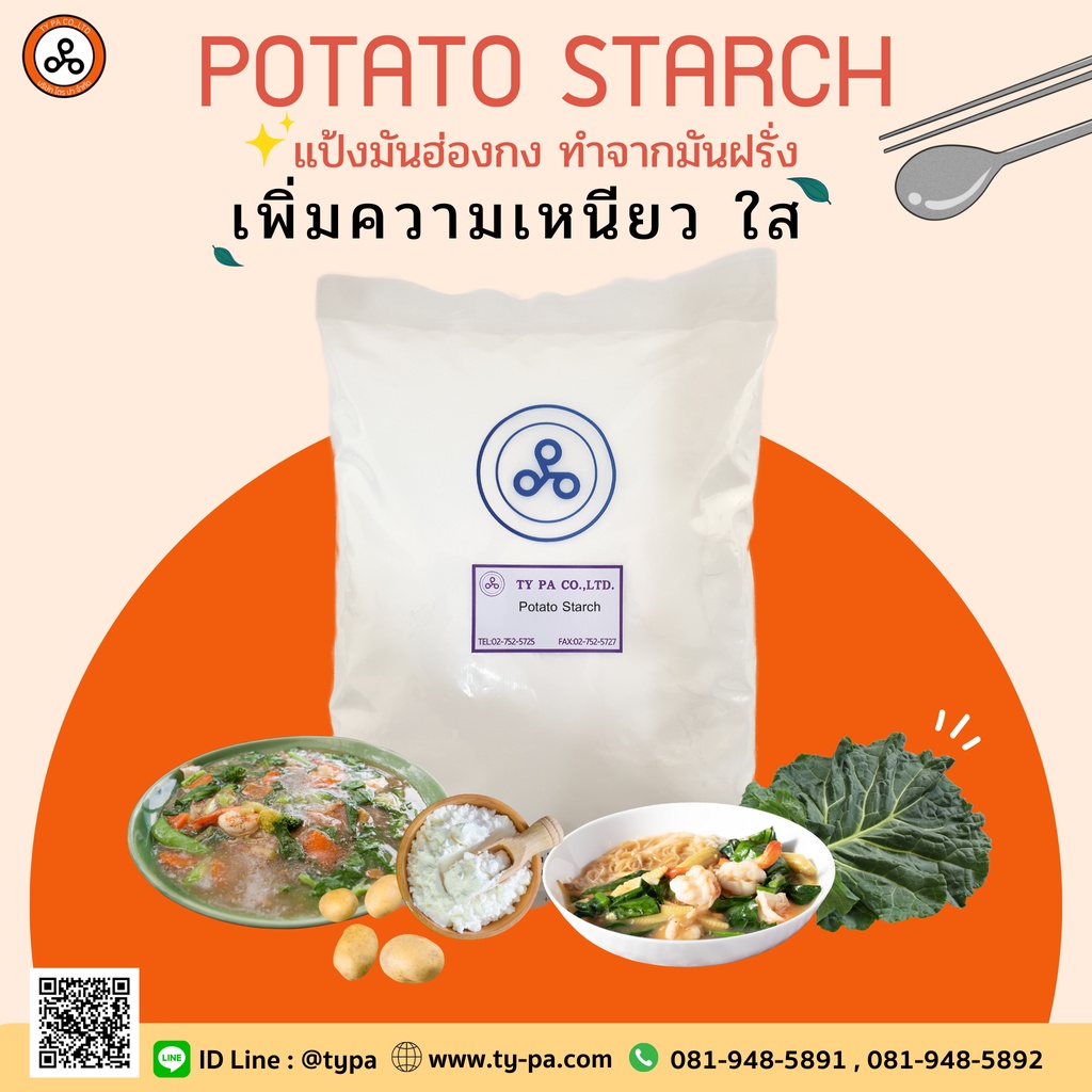 แป้งมัน แป้งมันฮ่องกง แป้งโปเตโต้สตาร์ช (Potato Starch)