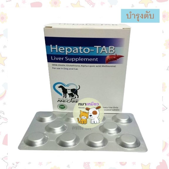 Hepato Tab บำรุงตับ สุนัข และ แมว