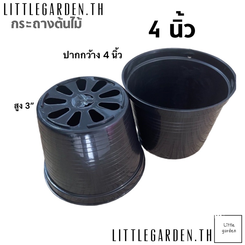 Little กระถางแคคตัส กระถาง 4 นิ้ว 200 ใบ(ดำเงาA+🖤) - รูปที่ 2