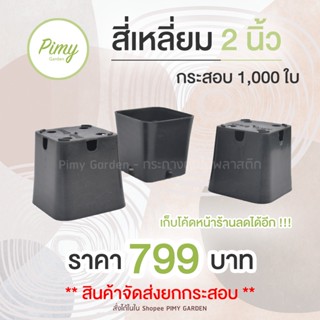 1000 ใบ กระถางแคคตัส 2 นิ้ว กระถางสี่เหลี่ยม สีดำ กระถางต้นไม้ ยกกระสอบ