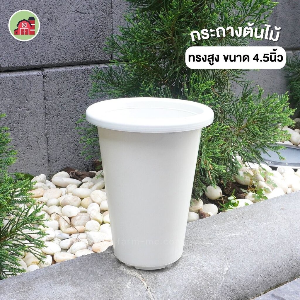 กระถางต้นไม้ ทรงสูง ขนาด 4 นิ้ว สีขาว แพ็ค50ใบ