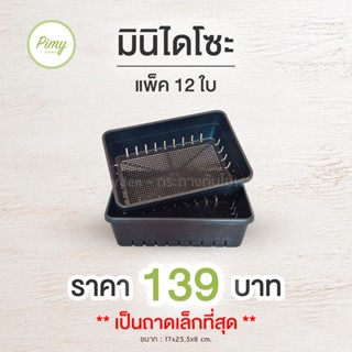 12 ใบ ถาดไดโซะ (มินิ)  ถาดวางกระถางแคคตัส ถาดเพาะเมล็ด แบบมีรู