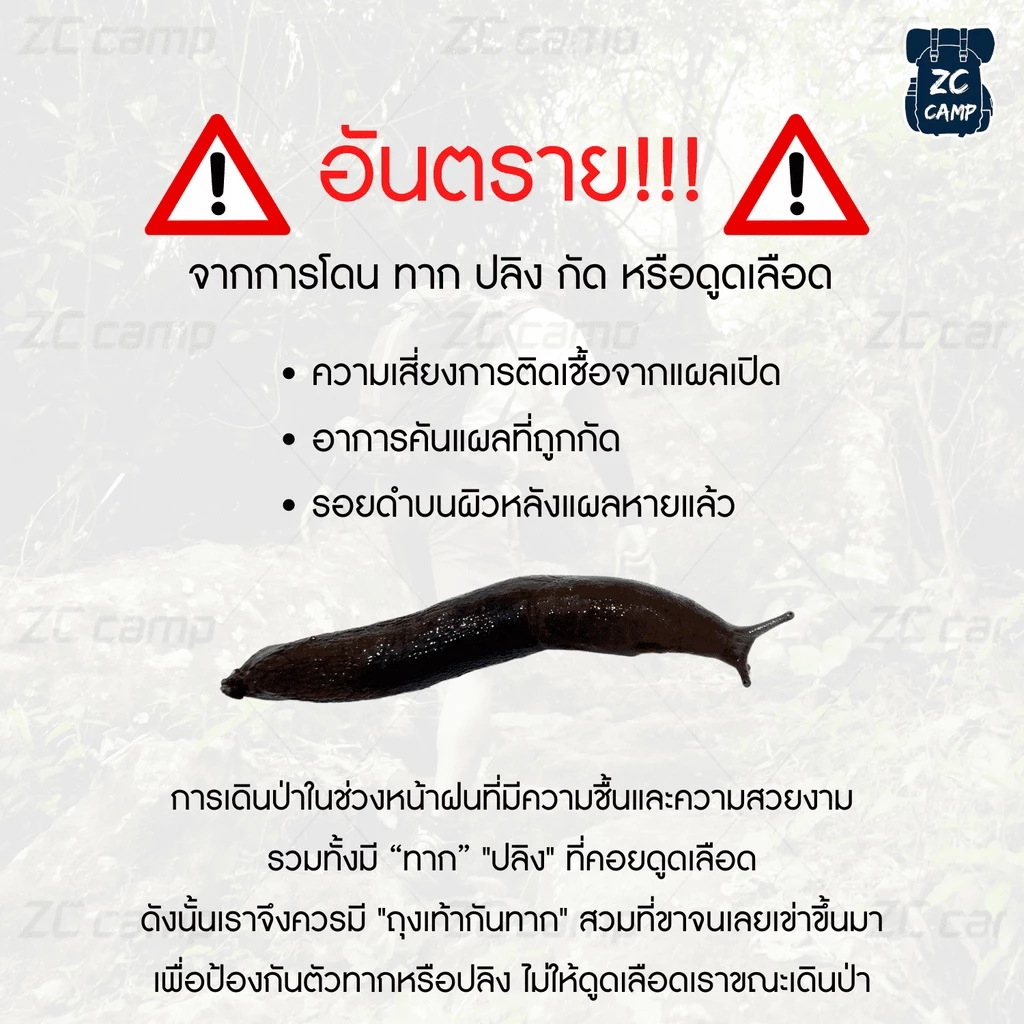 ZC CAMP ถุงเท้ากันทาก สำหรับเดินป่า ทำสวน ทำนา thumbnail 6