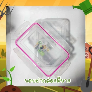 กล่องใส่อาหาร กล่องบิ๊กล็อค กล่อง 2 ช่อง