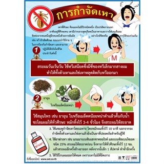 โปสเตอร์กระดาษ การกำจัดเหา #EQ-144