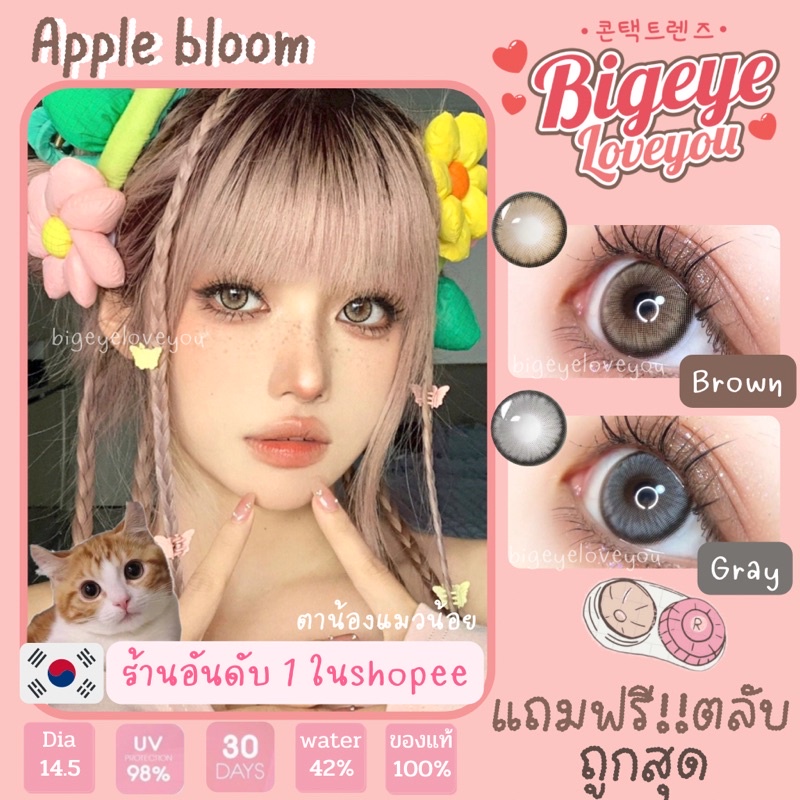 คอนแทคเลนส์ รุ่นตาประกายสวยสุดๆ🌈Apple Bloom🌈 Brown / Gray (Luxzylens) ขนาดกลาง💖
