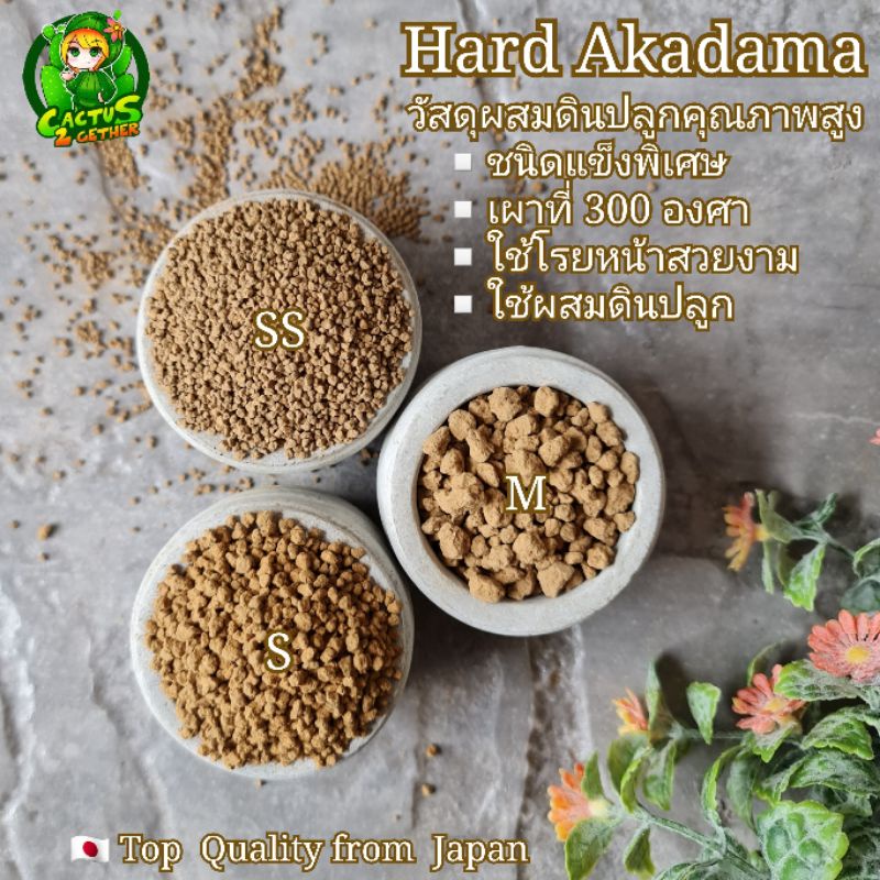 ดินญี่ปุ่น(สามขีด) Hard Akadama‼️