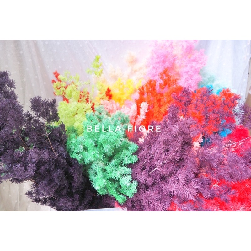 (พร้อมส่ง) ถูกมาก!!!! ดอกปริก ฮอลแลนด์ นำเข้า ซองละ 15 บาท ดอกไม้แห้ง preserved อยู่ได้นานมากกว่า 2 ปี