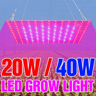 โคมไฟ LED สเปกตรัม 220V 110V ระบบไฮโดรโปนิก 20W 40W สําหรับปลูกพืชเรือนกระจก