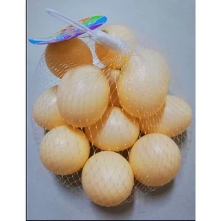 ✅️ (ถูกที่สุด พร้อมส่ง) ไข่ไก่ปลอม ไข่ไก่พลาสติก ไข่ปลอม ใส่ถุงตาข่าย 10-12 ฟอง/ถุง ขนาด 4×5 ซม.
