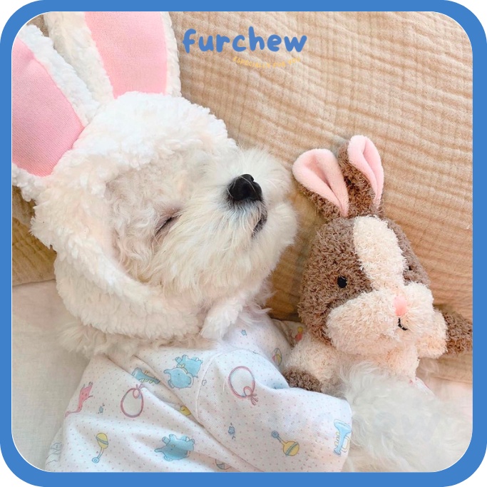 [SG] Pet Rabbit Squirrel Bunny Sleeping Snuggle Soft Toy with Squeaker - สําหรับสุนัขและลูกสุนัข