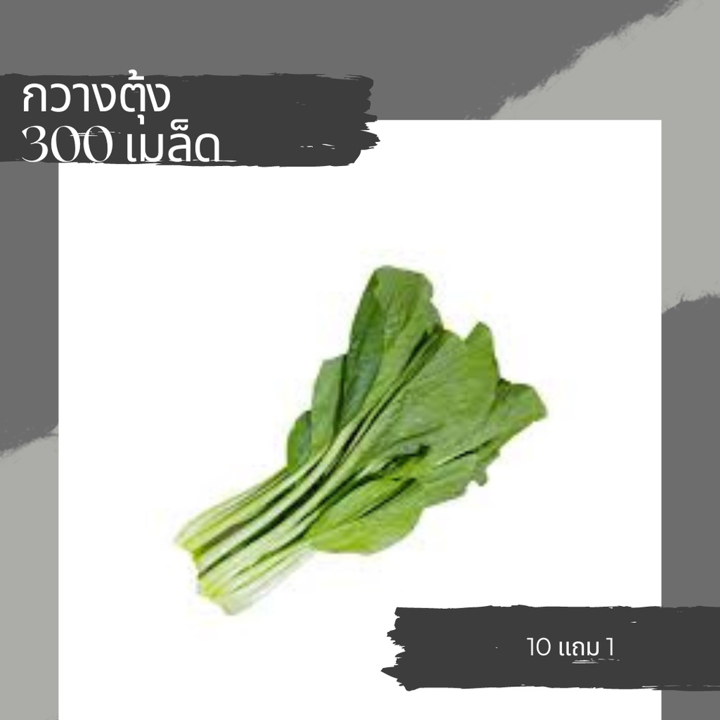 เมล็ดผักกวางตุ้ง เมล็ดผักสวนครัว เมล็ดผัก 10แถม1คละได้ ราคา ถูกที่สุด ดีลบีเคเค แกลเลอรีภาพที่ 2