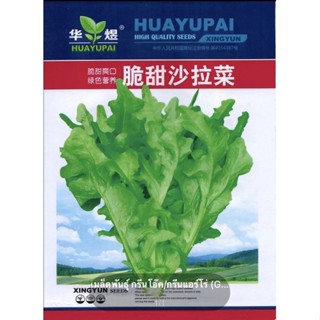 เมล็ดพันธุ์ กรีนโอ๊ค / กรีนแอร์โร่ (Green Oat leaf Lettuce) บรรจุประมาณ 3000 เมล็ด