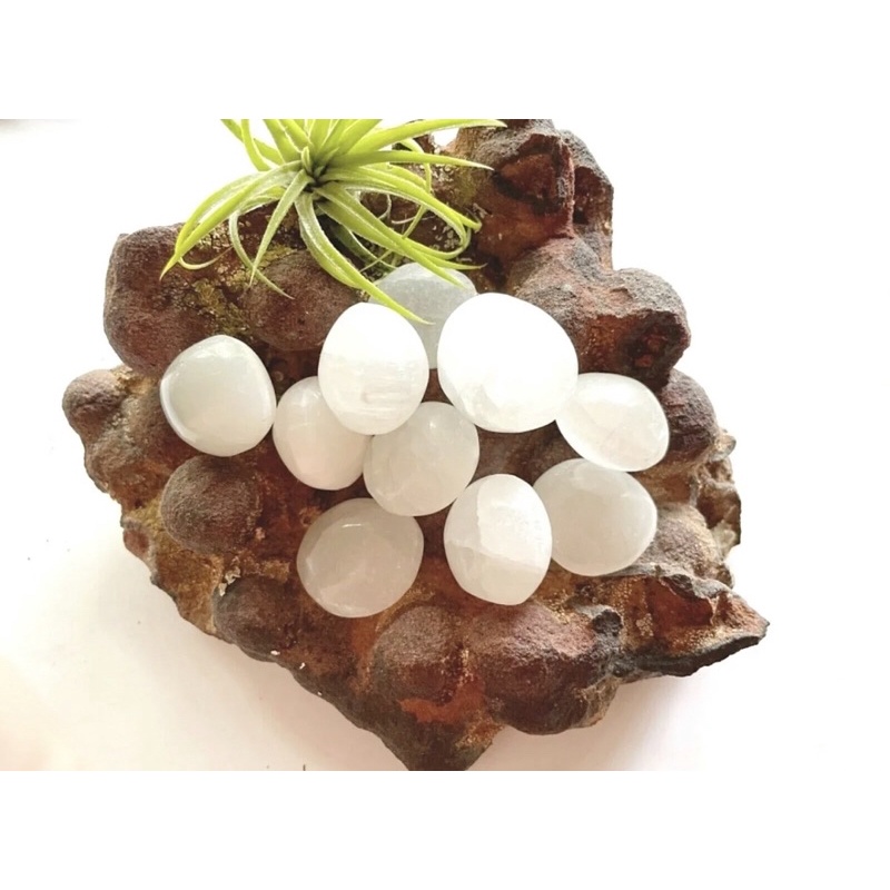One Selenite Tumbled Stone 25-30mm เซเลไนท์Hand Polished Morocco Reiki Healing Crystal