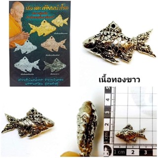 ปลาตะเพียรนำโชคเนื้อทองขาว