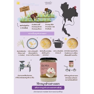 ผงจมูกข้าวฮางงอก6สายพันธ์100% 100g. Gaba rice powder 100g (Original) (เด็ก6เดือนขึ้นไป,มีไฟเบอร์)