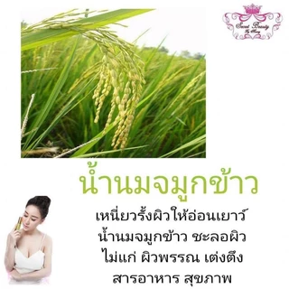 สบู่น้ำนมข้าวโมน้อย โปร1แถม1 Soap Collagen สูตรหอม