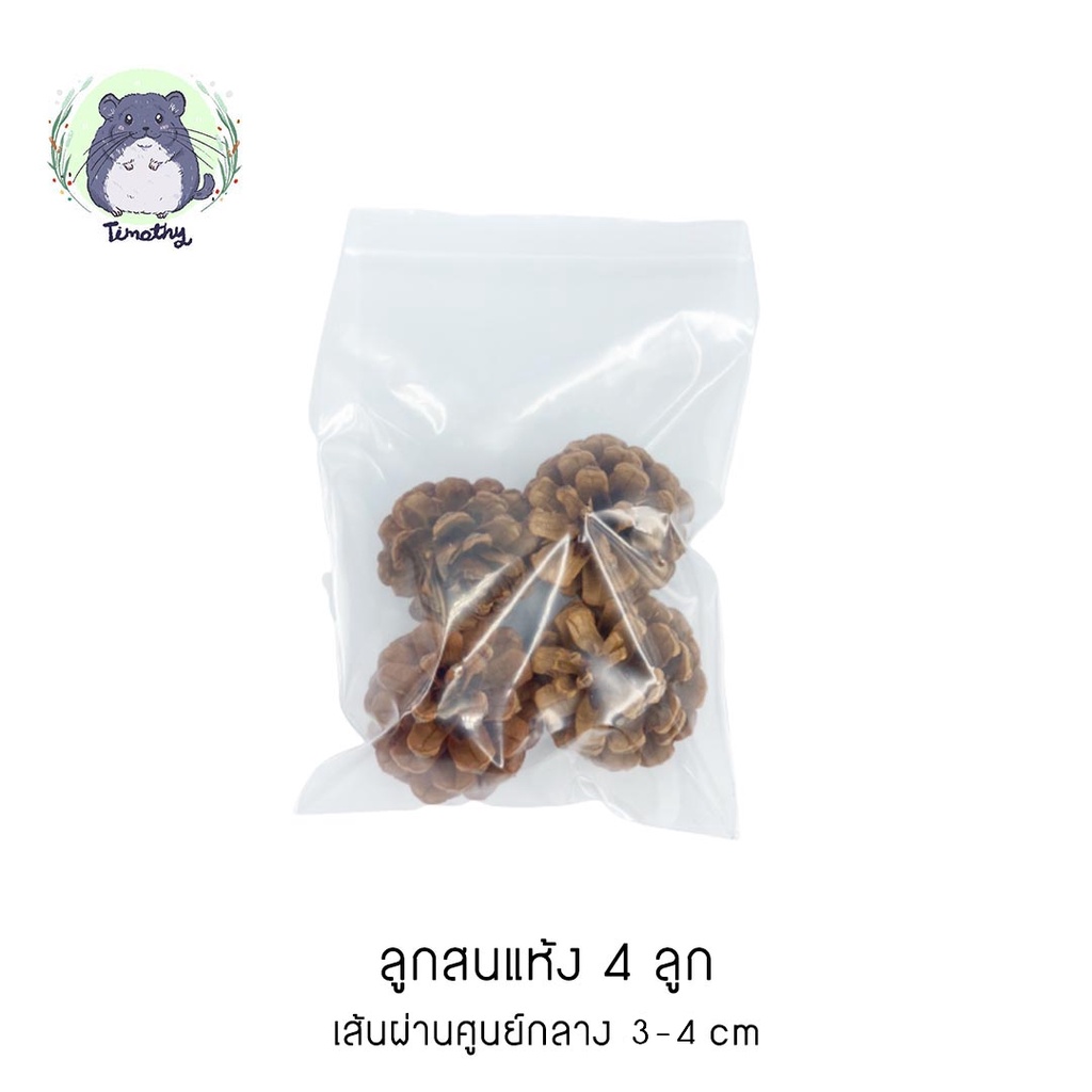 ลูกสนแห้ง ลูกสนธรรมชาติ (Dried Pine Cones) ลับฟัน สำหรับสัตว์ฟันแทะ ตกแต่งกรง พร๊อพถ่ายรูป 4 ลูก ขนา