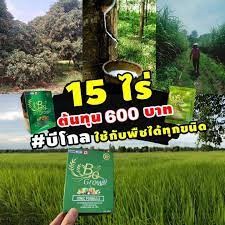 ปุ๋ยชีวภาพ Be Grow บีโกร ปุ๋ยบีโกร 1 ซอง ของแท้ 100% ปุ๋ย สารเพิ่มประสิทธิภาพพืช อาหารเสริมพืช (1 ซอง ผสมน้ำ 800 ลิตร)