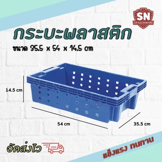 Code 9816 กระบะพลาสติก กระบะต้นไม้ กระบะปลา
