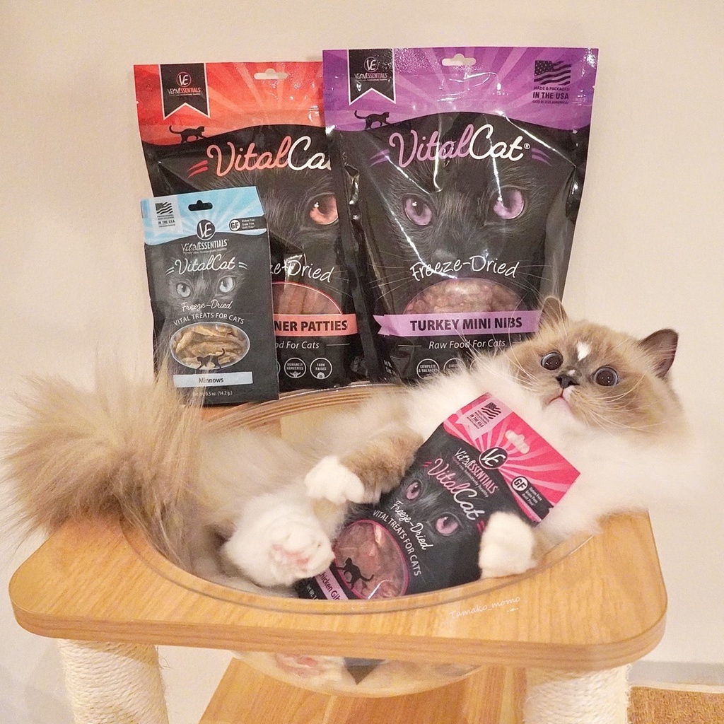 Vital Essential Freeze Dried Cat Treats 20-25 กรัม ขนมแมวเกรดพรีเมี่ยม x Petsister ราคา ถูกที่สุด ดีลบีเคเค แกลเลอรีภาพที่ 5
