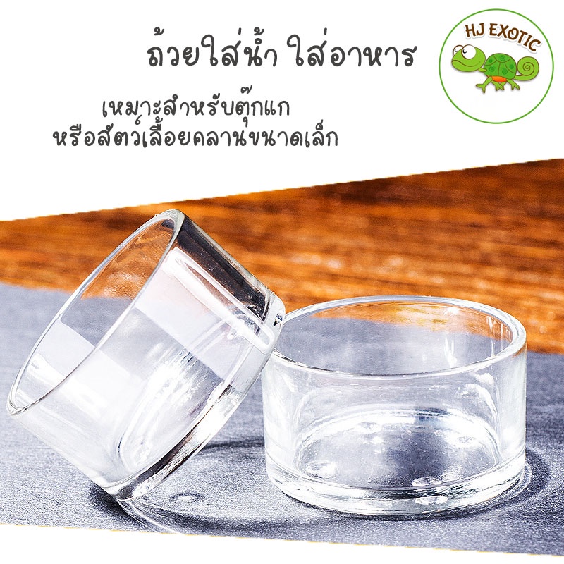 ถ้วยใส่น้ำ ใส่อาหาร แบบแก้วใส