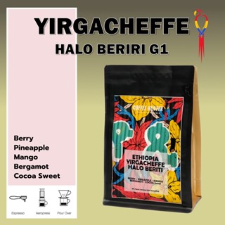 Coffee Hunter Roasters เมล็ดกาแฟคั่ว  Yirgacheffe Halo Beriti G1