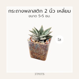 37POTS ●ซื้อ 1 แถม 1● กระถาง 2 นิ้ว เหลี่ยม ขนาดน่ารักสำหรับปลูกแคคตัสเห็นทรายสี หินสีสวยๆ