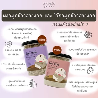 ผงจมูกข้าวฮางงอก6สายพันธ์100% 100g. Gaba rice powder 100g (Original) (เด็ก6เดือนขึ้นไป,มีไฟเบอร์)