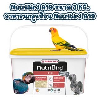 Nutribird A19 ถัง3kg. สูตรลูกนกทุกสายพันธุ์ สูตรพลังงานสูง แพคเกจใหม่ ช่วยย่อยและดูดซึมอาหาร สร้างภูมิต้านทางให้ลูกนก