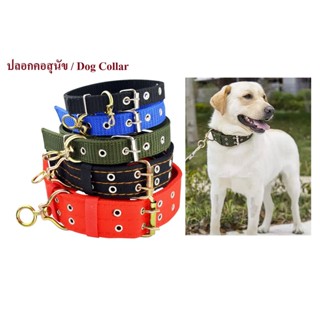 ปลอกคอสุนัข ปลอกคอไนล่อน ปลอกคอสัตว์เลี้ยง 5 ขนาดให้เลือก / Dog Collar Nylon Collar Pet Collar 5 Sizes