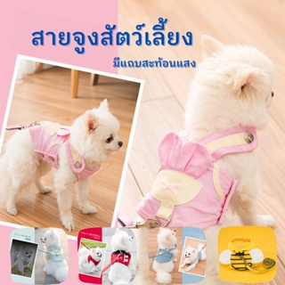 🐶 สายจูงสัตว์เลี้ยง 🐶  สายจูงแมว สายจูงหมา เชือกจูงสัตว์เลี้ยง  ที่จูงสัตว์เลี้ยง พร้อมแถบสะท้อนแสง