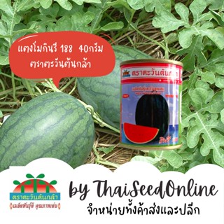 ADV กป 40 กรัม เมล็ดพันธุ์ แตงโม กินรี188 40กรัม ตราตะวันต้นกล้า