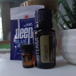 doTERRA Ginger ขนาด 15 ml.